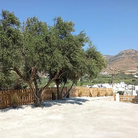 Evdion * Galini (Naxos)